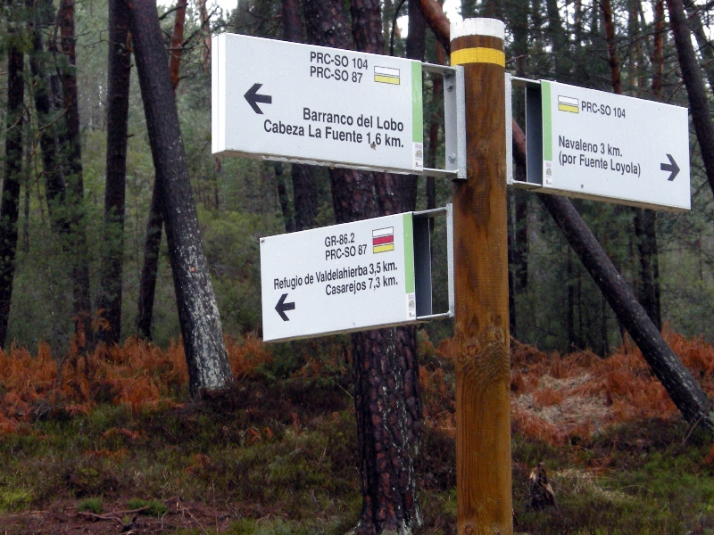 soria_2013 123